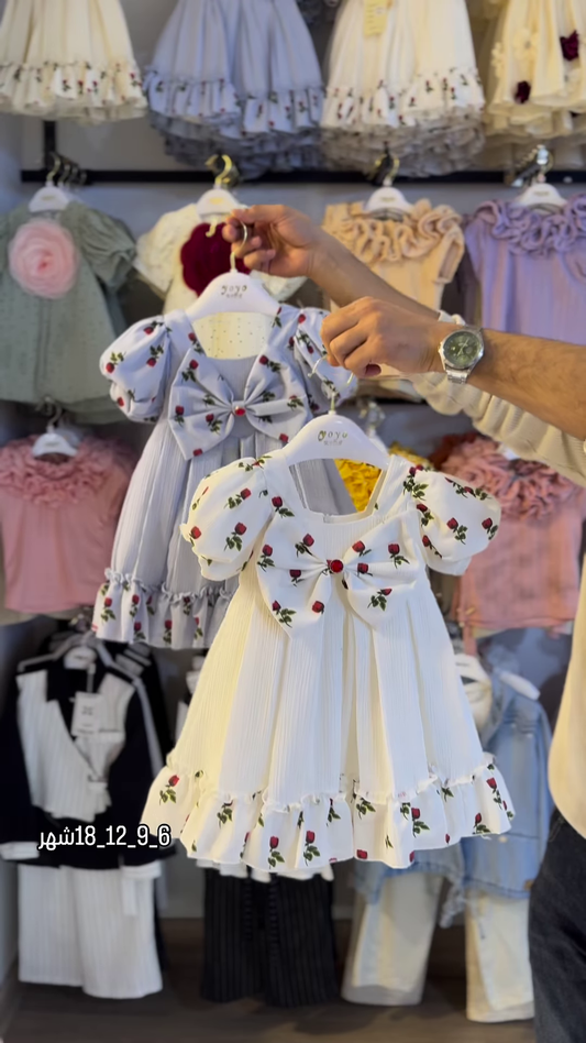 Charming Floral Print Party Dress with Puff Sleeves and Ruffle Hem for Girls